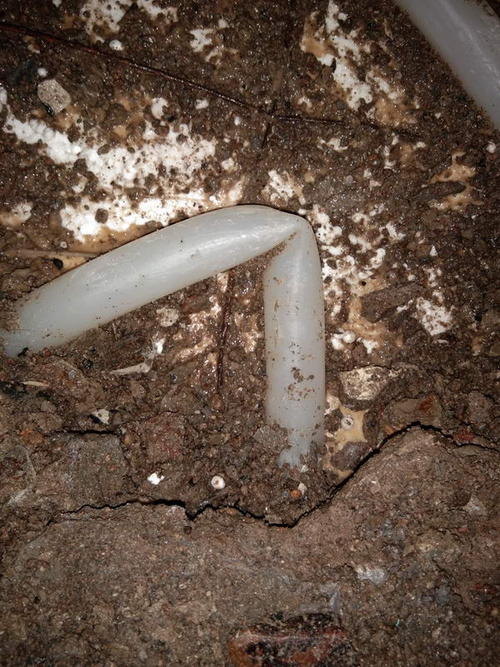 清流堵点精准查找